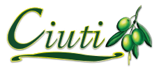 Cuiti International Logo